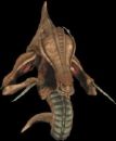Zerg